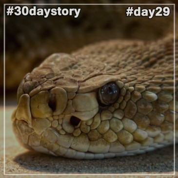 #day29 Яд (#30daystory)